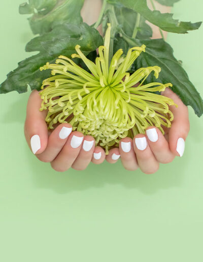 Nailology Nail & Spa in Cherry Hill, NJ 08034 Gallery Nails 1